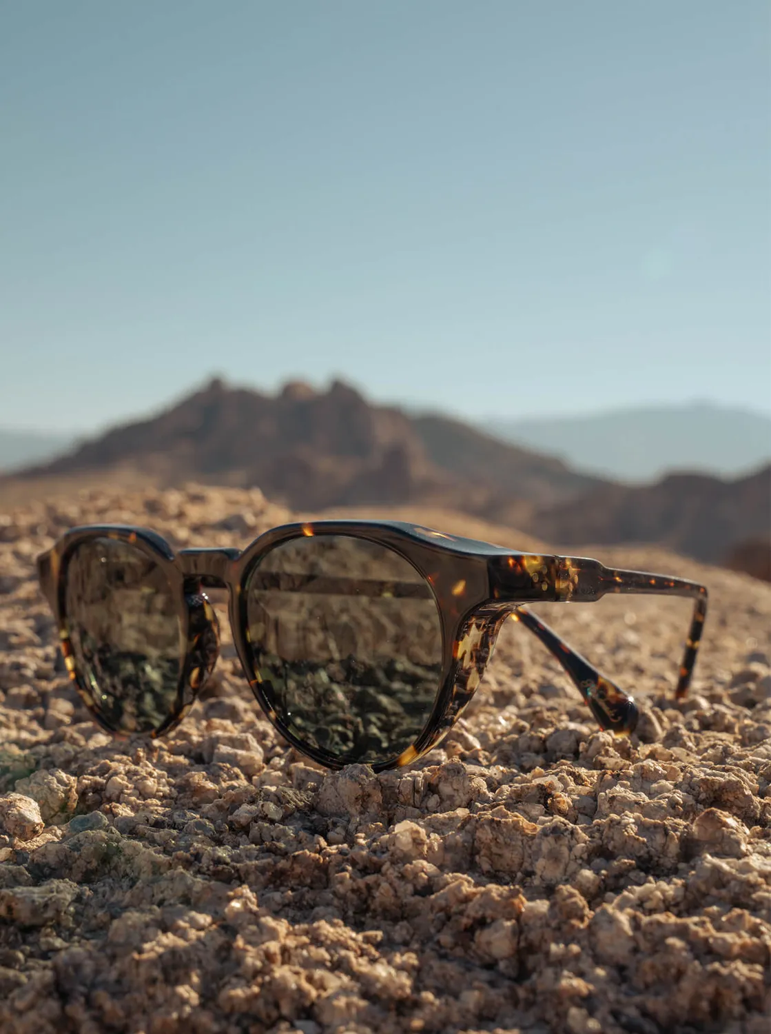 Raen Expedition Remmy occhiale da sole Shasta Tortoise 50