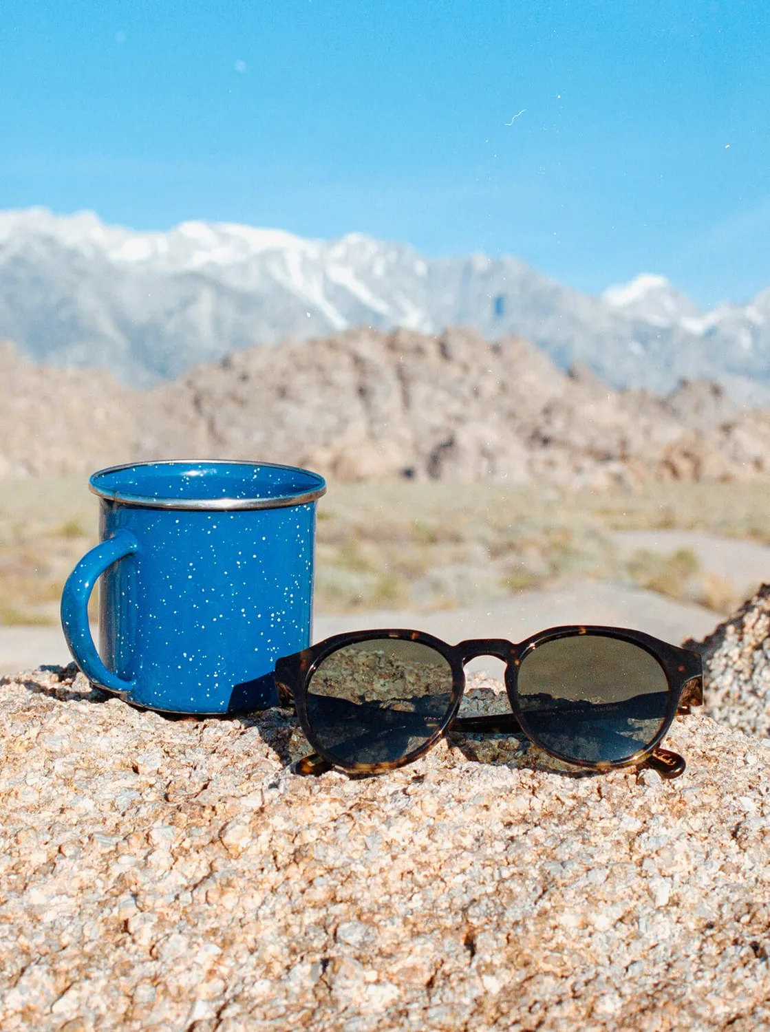 Raen Expedition Remmy occhiale da sole Shasta Tortoise 50