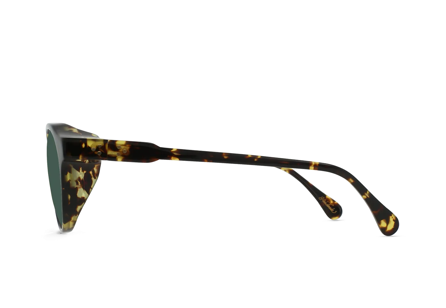 Raen Expedition Remmy occhiale da sole Shasta Tortoise 50