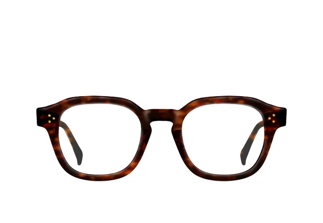Raen Rilko montatura da vista Kola Tortoise 48