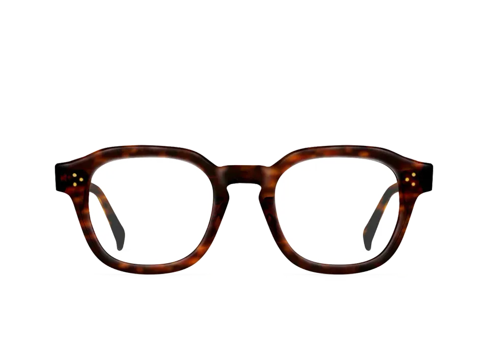 Raen Rilko montatura da vista Kola Tortoise 48
