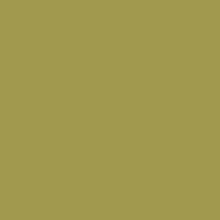 Hemmet Tints lenti colorate tinta unita