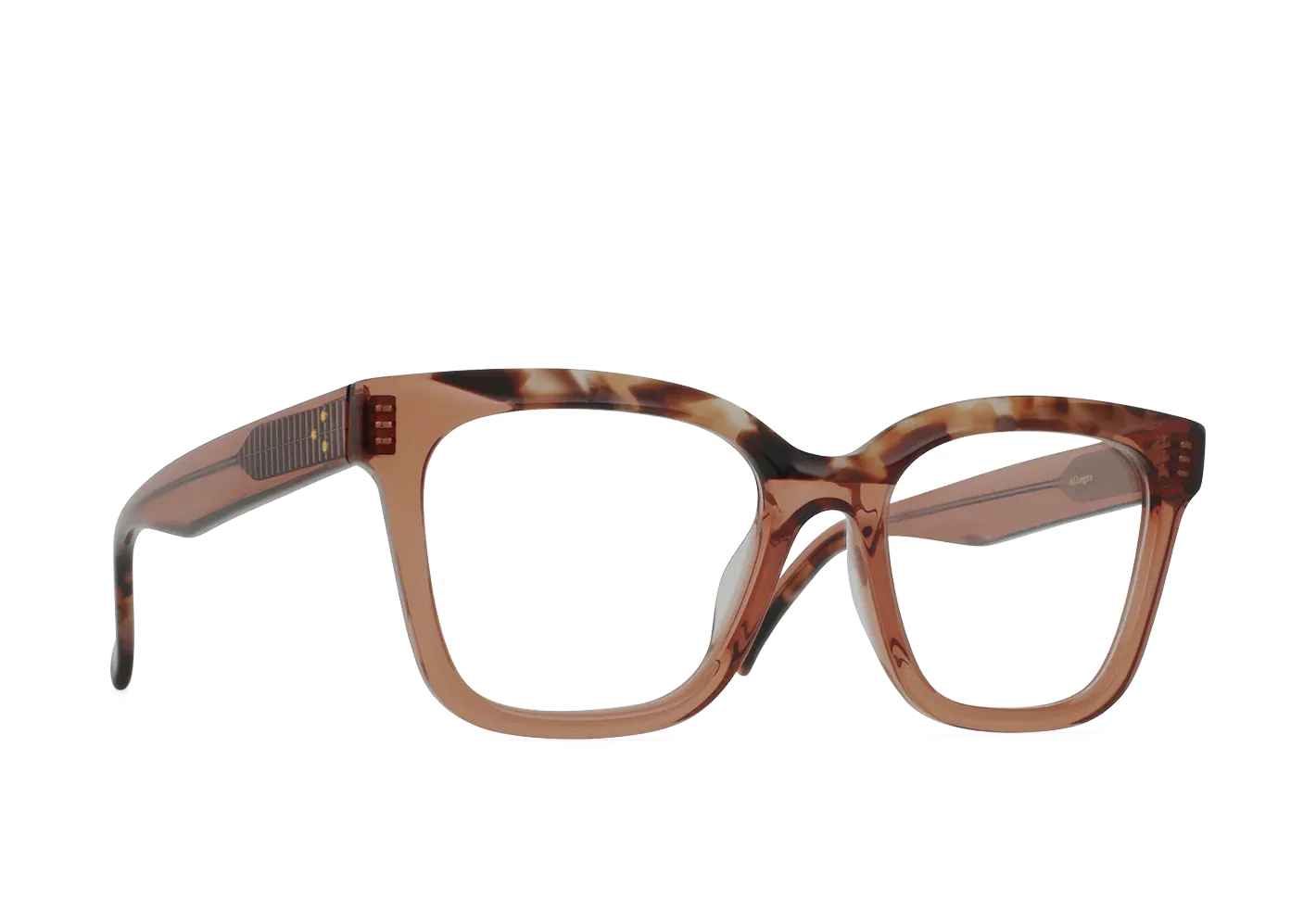 Raen Hanny Allegra Tortoise 53 montatura vista donna