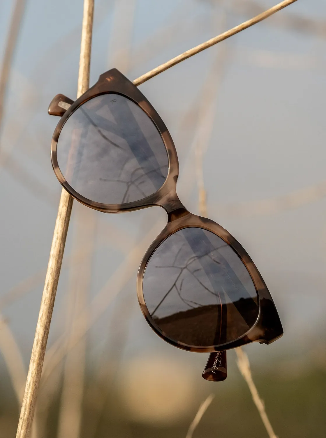 Raen Lily occhiale da sole Almond Tortoise 54 cat-eye
