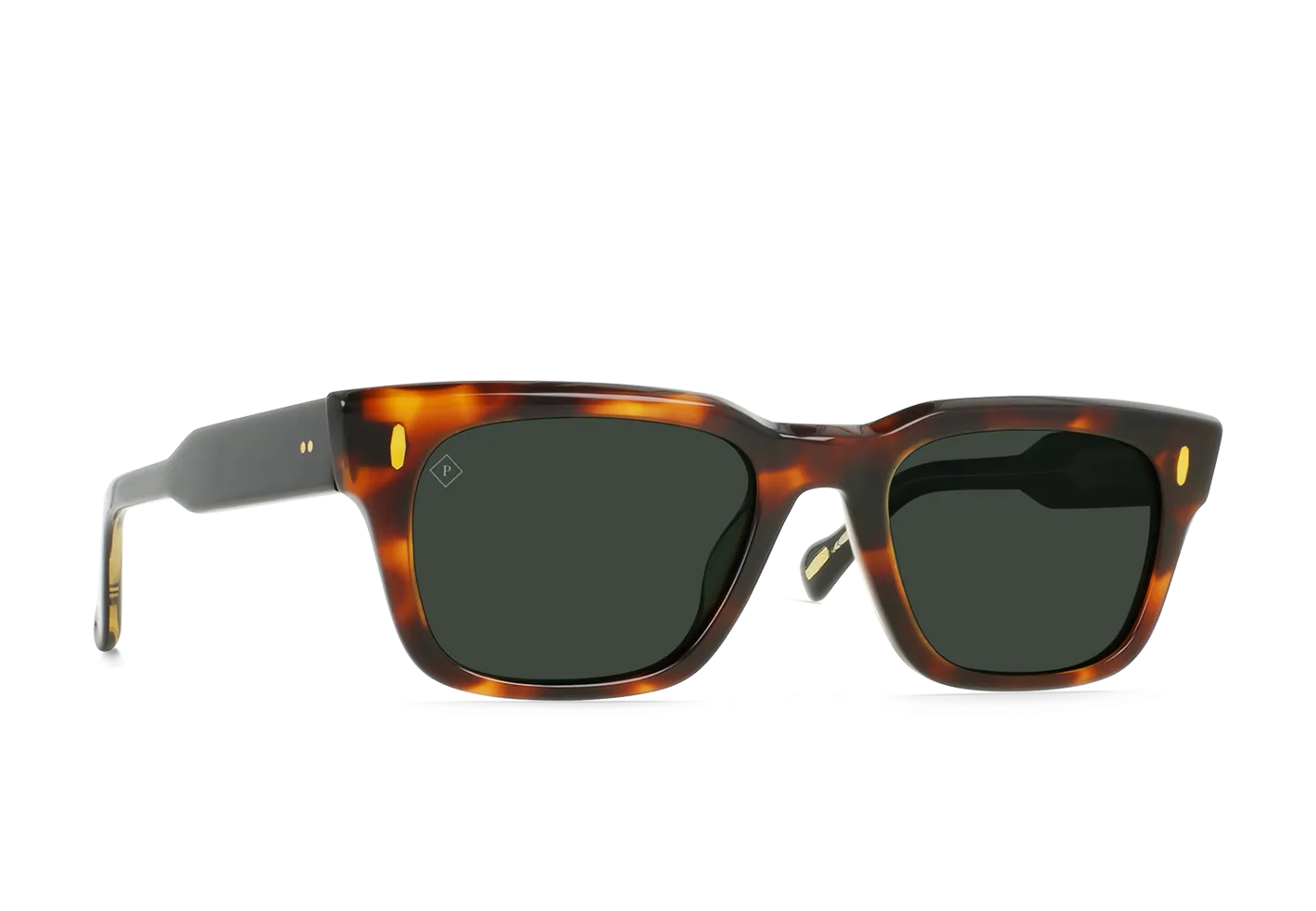 Raen Conway occhiale da sole marrone polarizzato 53