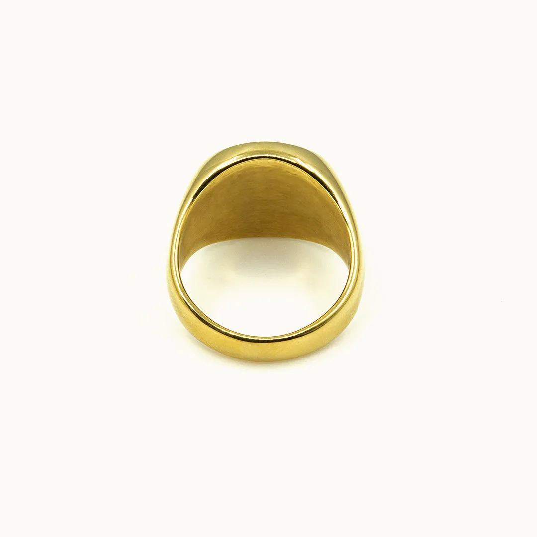 Hemmet Classic Signet anello oro giallo misura 9 chevalier