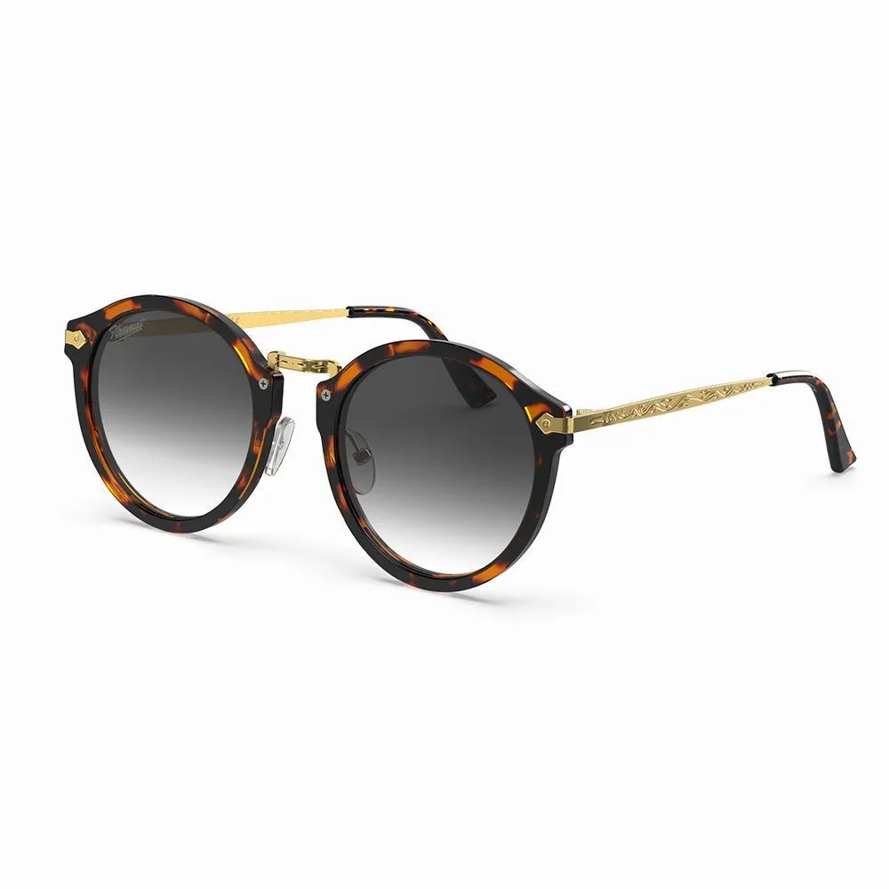 Hemmet Vintage Raiders occhiali da sole verde tropicale