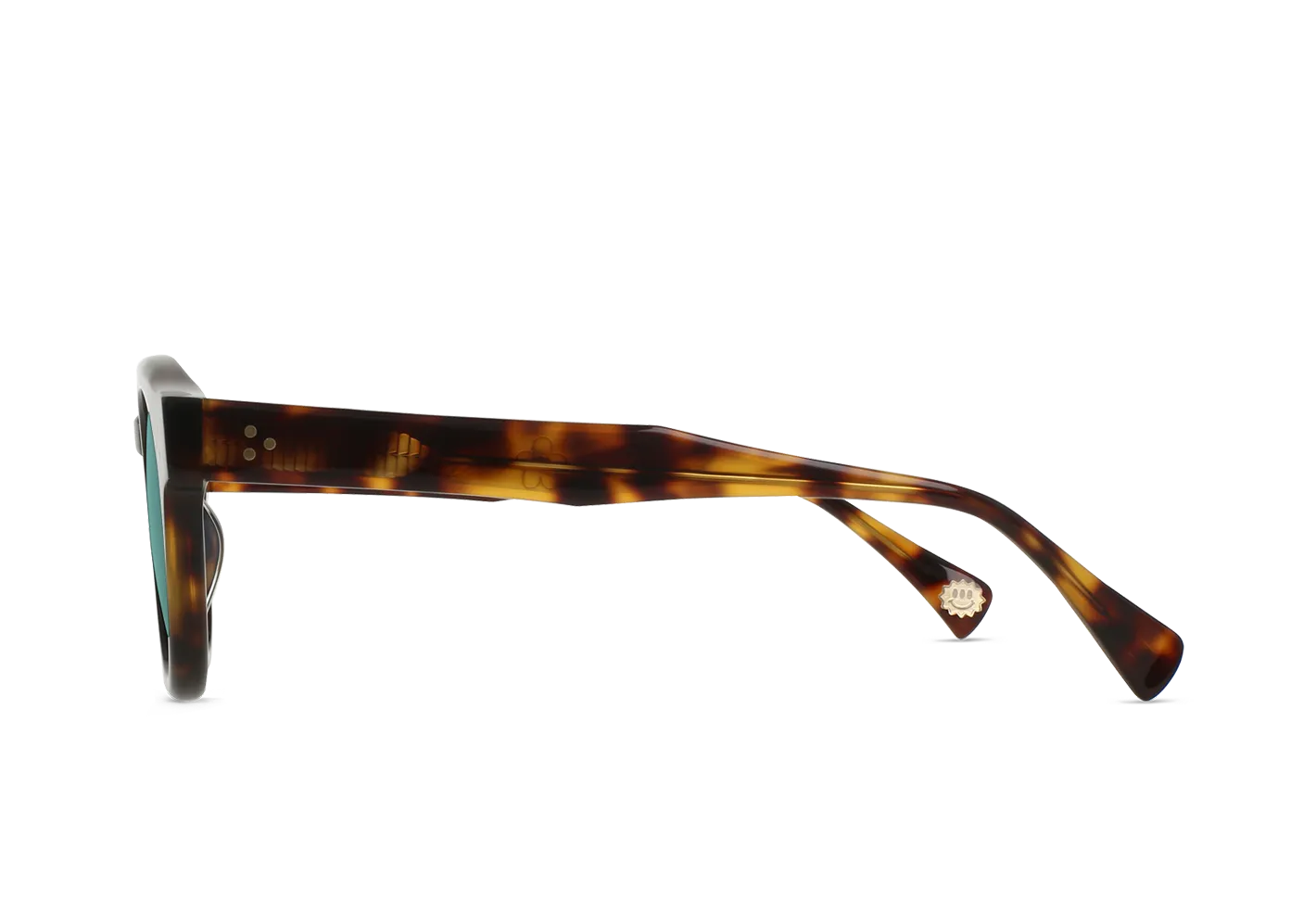 Raen Zelti occhiale da sole Kola Tortoise Pacifica 49