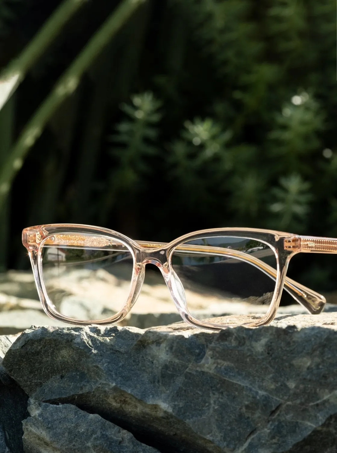 Raen Del montatura da vista Oxblood Clear 53 acetato