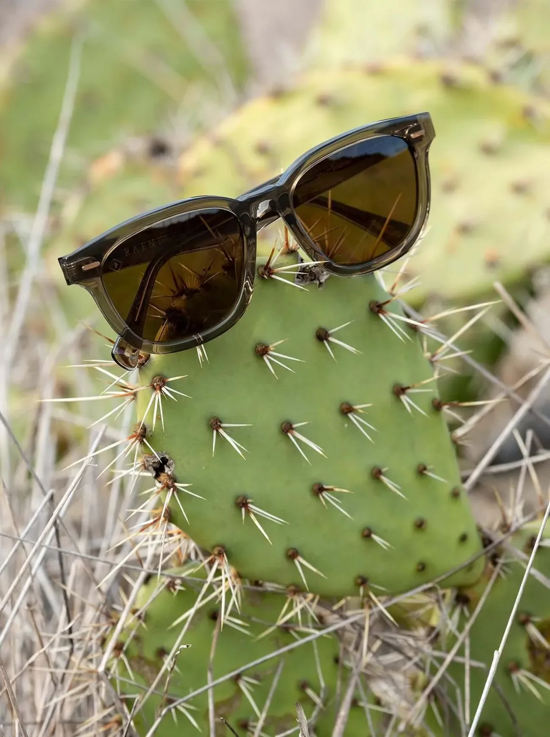 Raen Carby occhiale da sole Ristretto Tortoise 53 squadrato