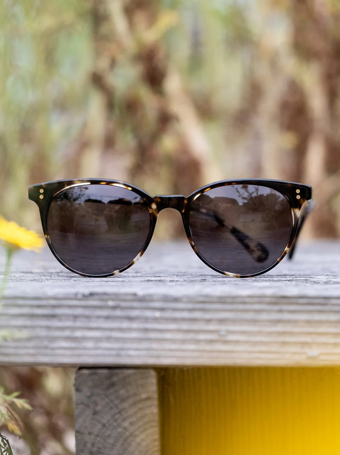 Raen Norie occhiale da sole Dawn 53 cat-eye