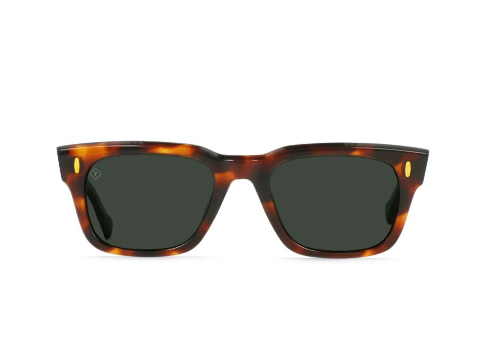 Raen Conway occhiale da sole marrone polarizzato 53