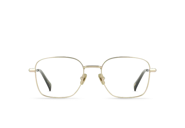 Raen Levings Japanese Gold montatura vista 50 metallo