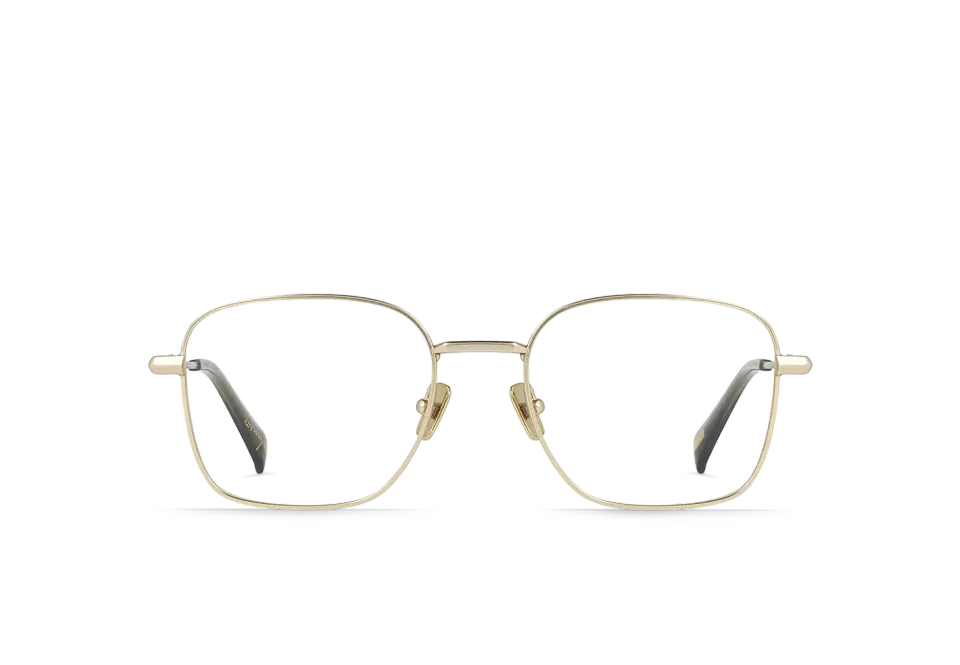 Raen Levings Japanese Gold montatura vista 50 metallo