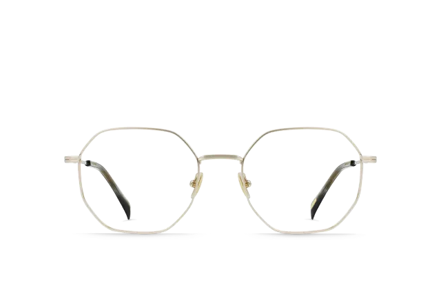 Raen Maylin montatura da vista Light Gold 52 titanio