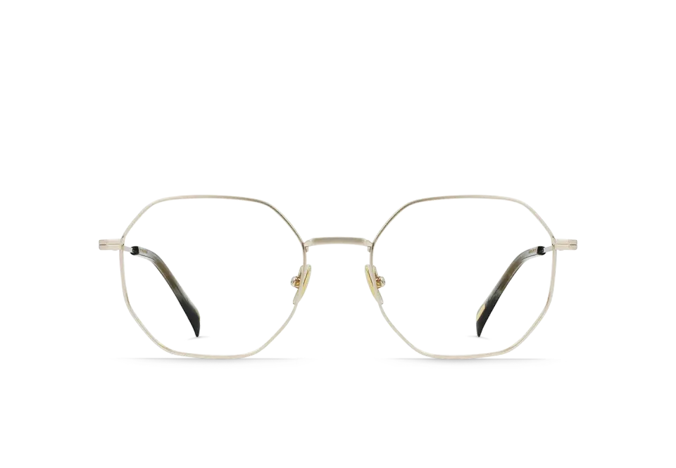 Raen Maylin montatura da vista Light Gold 52 titanio